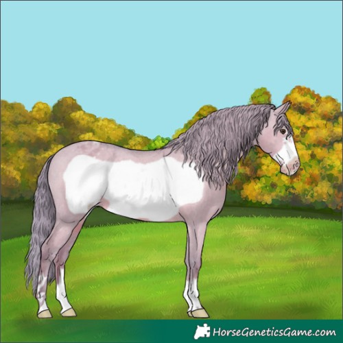 Horse Color:Watercolor Red Dun Frame Varnish 