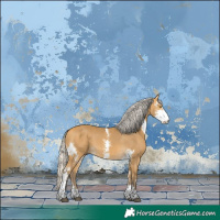 Horse Color:Silver Buckskin Sabino