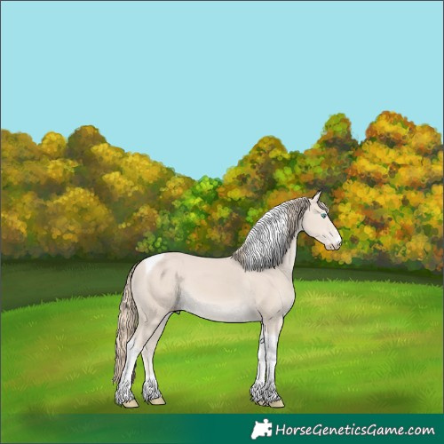 Horse Color:Smoky Creme Tobiano 