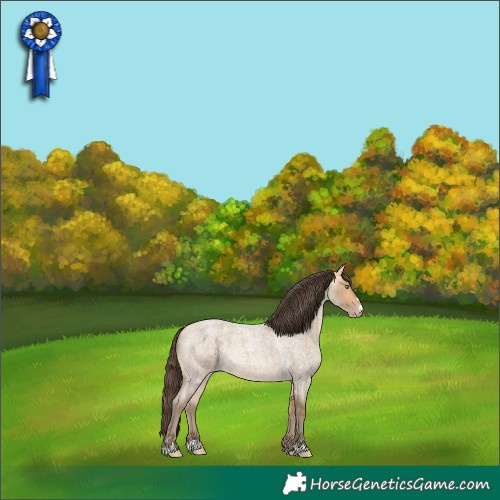 Horse Color:Amber Cream Champagne Roan 