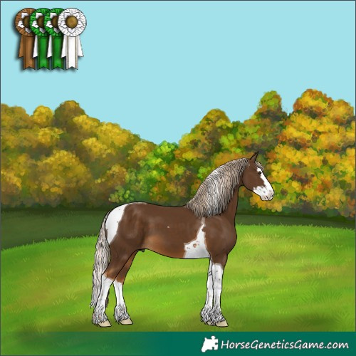 Horse Color:Chocolate Palomino Splash Tobiano 