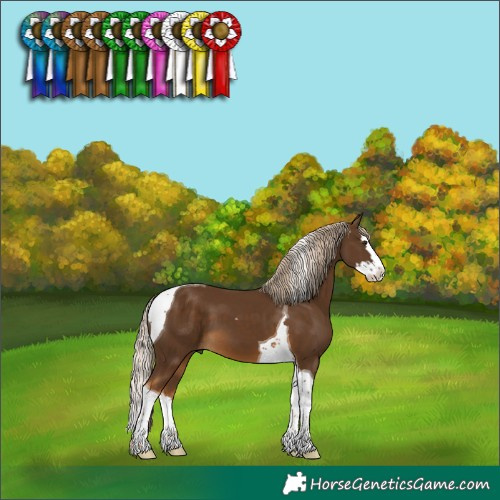 Horse Color:Chocolate Palomino Splash Tobiano 