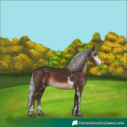 Horse Color:Silver Brown Sabino 