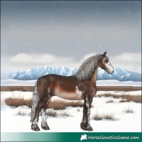 Horse Color:Silver Brown Sabino 
