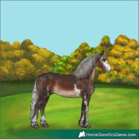 Horse Color:Silver Brown Sabino 
