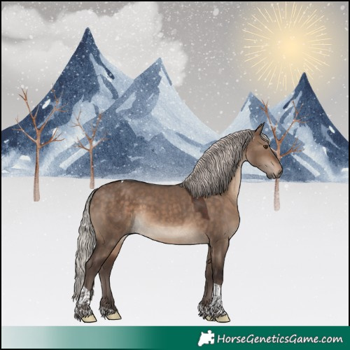 Horse Color:White Spotted Silver Brown Dun Tobiano 