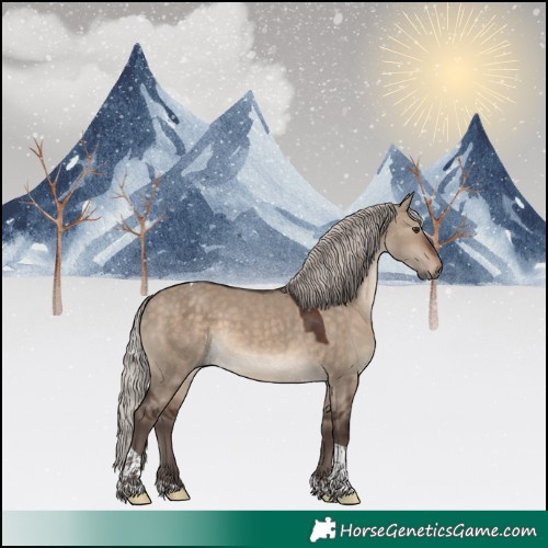 Horse Color:White Spotted Silver Brown Dun Tobiano 