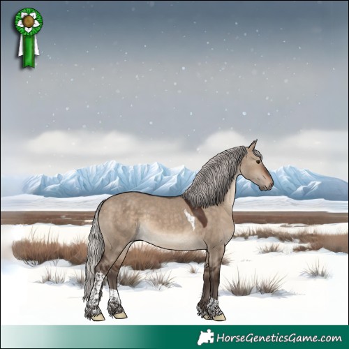 Horse Color:White Spotted Silver Brown Dun Tobiano 