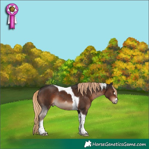Horse Color:Liver Chestnut Tobiano Rabicano 
