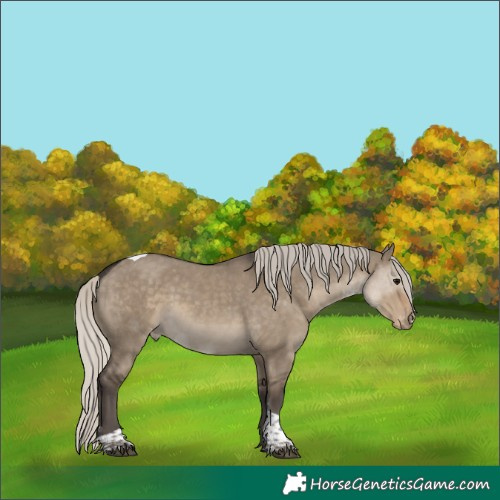 Horse Color:Silver Smoky Grullo Tobiano Appaloosa 