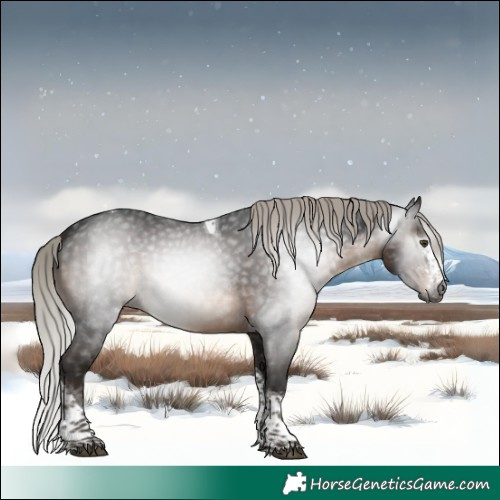 Horse Color:Gray Silver Brown Sabino Tobiano Rabicano 