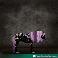 Horse Color:Void Painted White Spotted Silver Brown Ice Dun Splash Rabicano