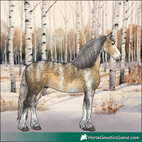 Horse Color:Powder White White Spotted Silver Buckskin Dun 