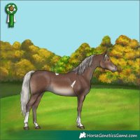 Horse Color:Silver Black Tobiano