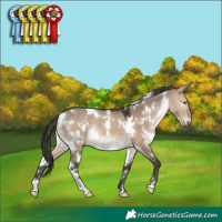 Horse Color:White Spotted Brown Dun Rabicano