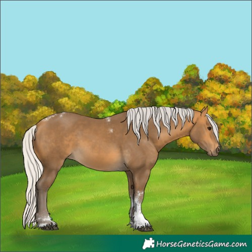 Horse Color:Silver Buckskin Sabino Tobiano