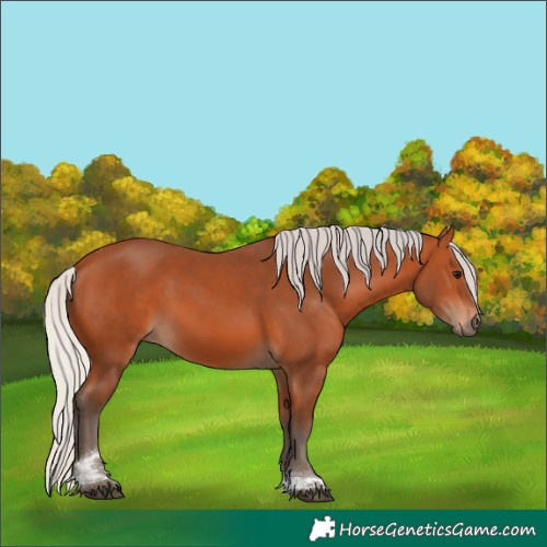 Horse Color:Silver Bay Tobiano