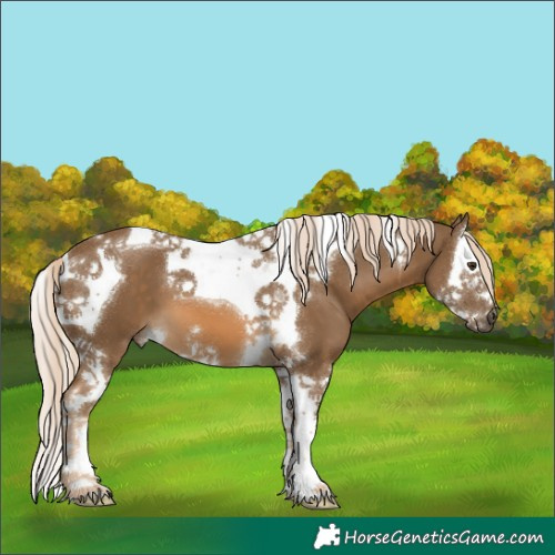 Horse Color:Chocolate Palomino Splash Tobiano 