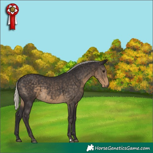 Horse Color:Silver Smoky Black 