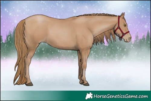Horse Color:Black Pearl 