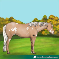 Horse Color:White Spotted Silver Black Pearl 