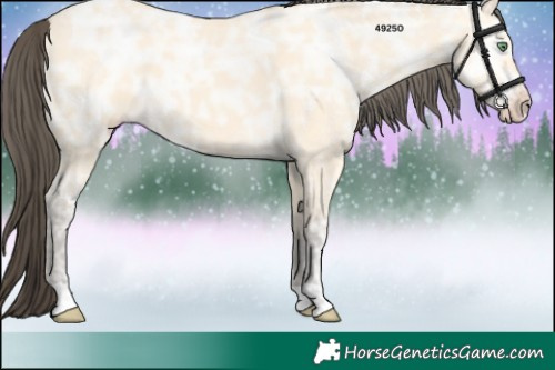 Horse Color:Amber Cream Champagne Ice 