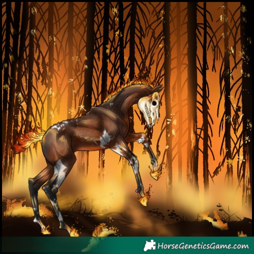 Horse Color:Brown Tobiano 