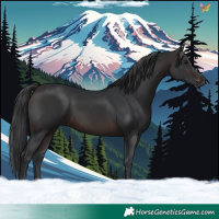 Horse Color:Brown 