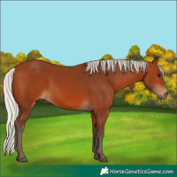 Horse Color:Silver Bay