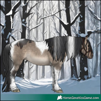 Horse Color:Brown Dun Tobiano 