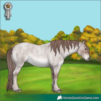 Horse Color:Platinum Red Roan 