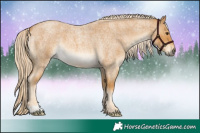 Horse Color:Palomino Roan 