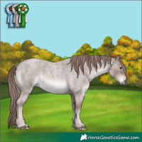 Horse Color:Platinum Red Roan 