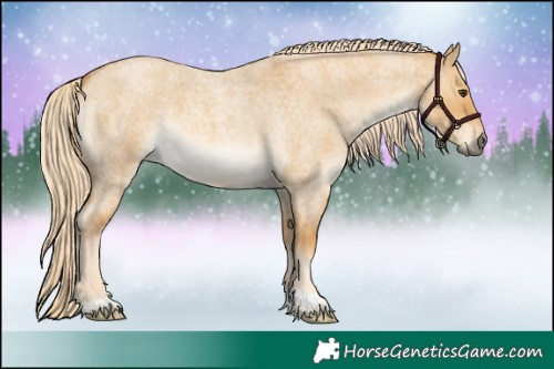 Horse Color:Palomino Roan Dun