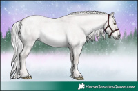 Horse Color:Platinum Palomino Roan Dun 