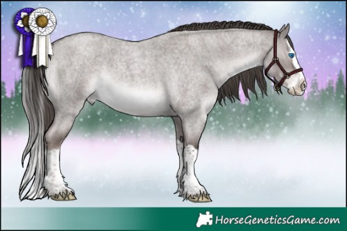 Horse Color:Platinum Liver Red Dun Roan Splash 