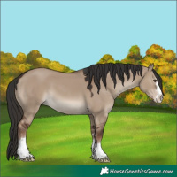 Horse Color:Liver Red Dun 