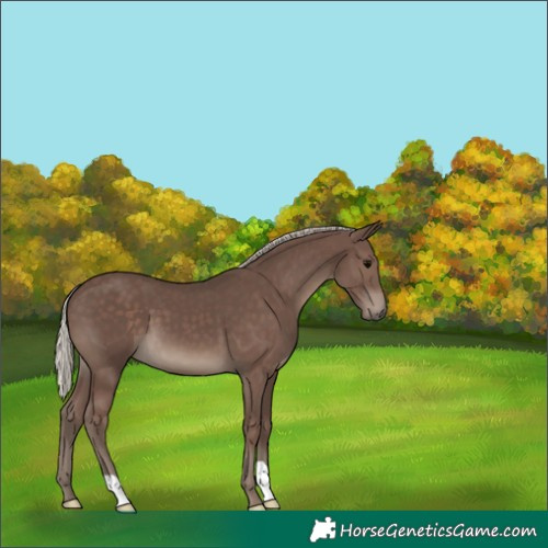 Horse Color:Silver Black 