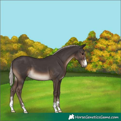 Horse Color:Silver Black 