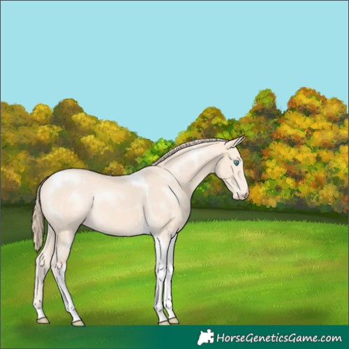 Horse Color:Perlino Tobiano 