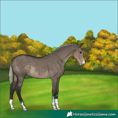 Horse Color:Silver Smoky Grullo 