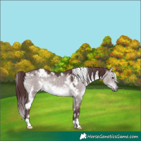 Horse Color:Platinum White Spotted Chocolate Brown Dun 