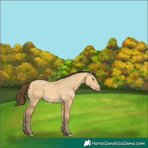 Horse Color:White Spotted Amber Cream Champagne Ice Dun Rabicano 