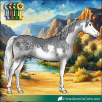 Horse Color:Silver Black Chinchilla Splash