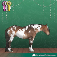 Horse Color:White Spotted Brown 