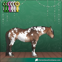 Horse Color:White Spotted Brown 