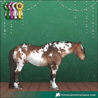 Horse Color:White Spotted Brown 