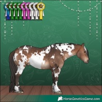 Horse Color:White Spotted Brown 