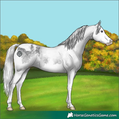Horse Color:White Spotted Silver Black Chinchilla Splash Tobiano 