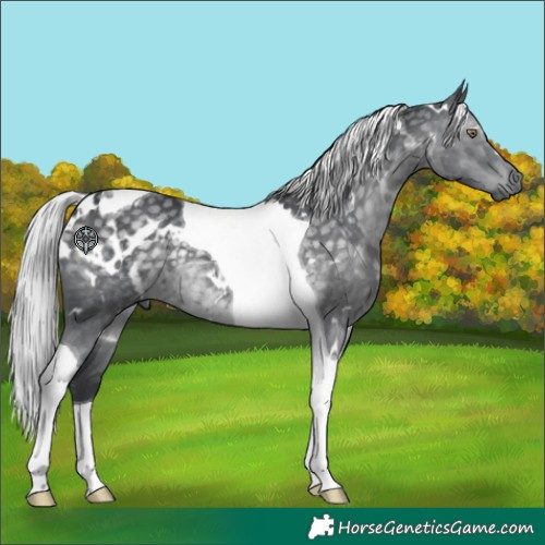 Horse Color:White Spotted Silver Black Chinchilla Tobiano 